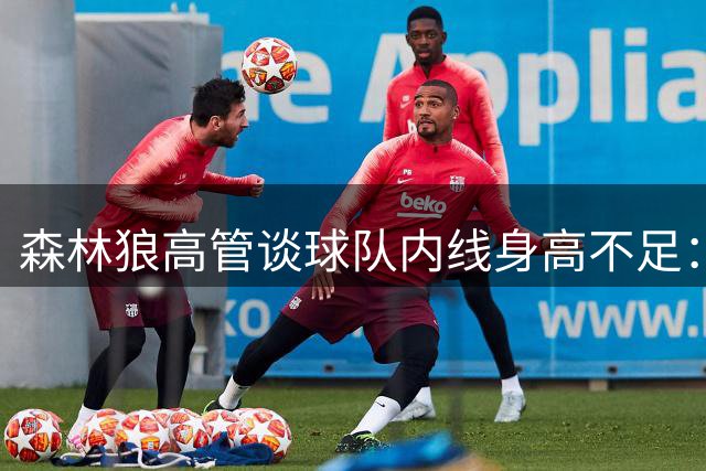 森林狼高管谈球队内线身高不足：这是交易的代价 我们会持续补强